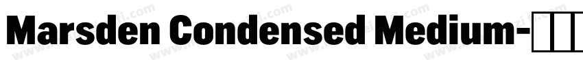 Marsden Condensed Medium字体转换